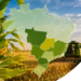 Principais regiões produtoras de milho do Brasil: Conheça os maiores polos da produção nacional