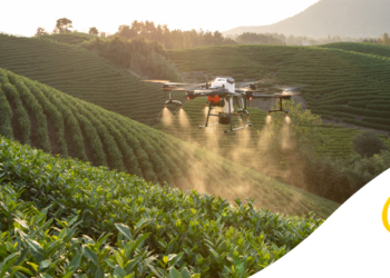 Uso de drones na agricultura ganha cartilha com foco em segurança, eficiência e produtividade