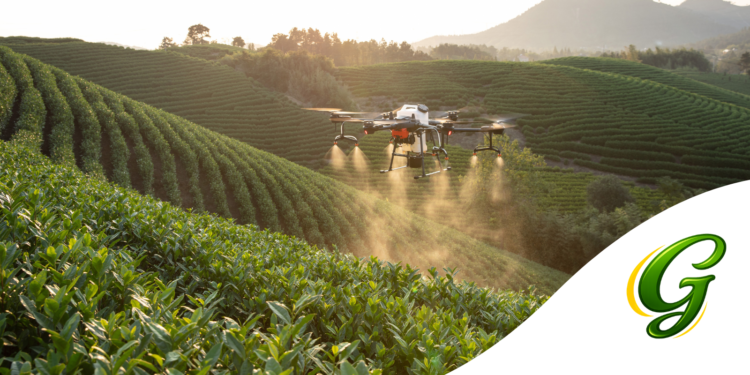 Uso de drones na agricultura ganha cartilha com foco em segurança, eficiência e produtividade